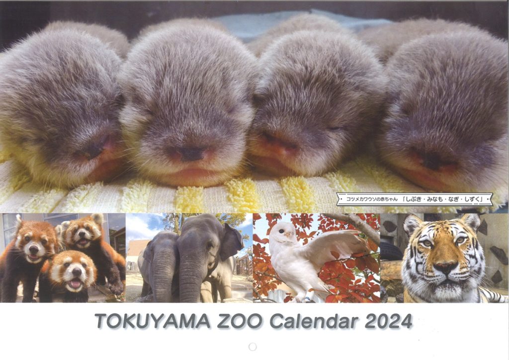 徳山動物園 カレンダー表紙